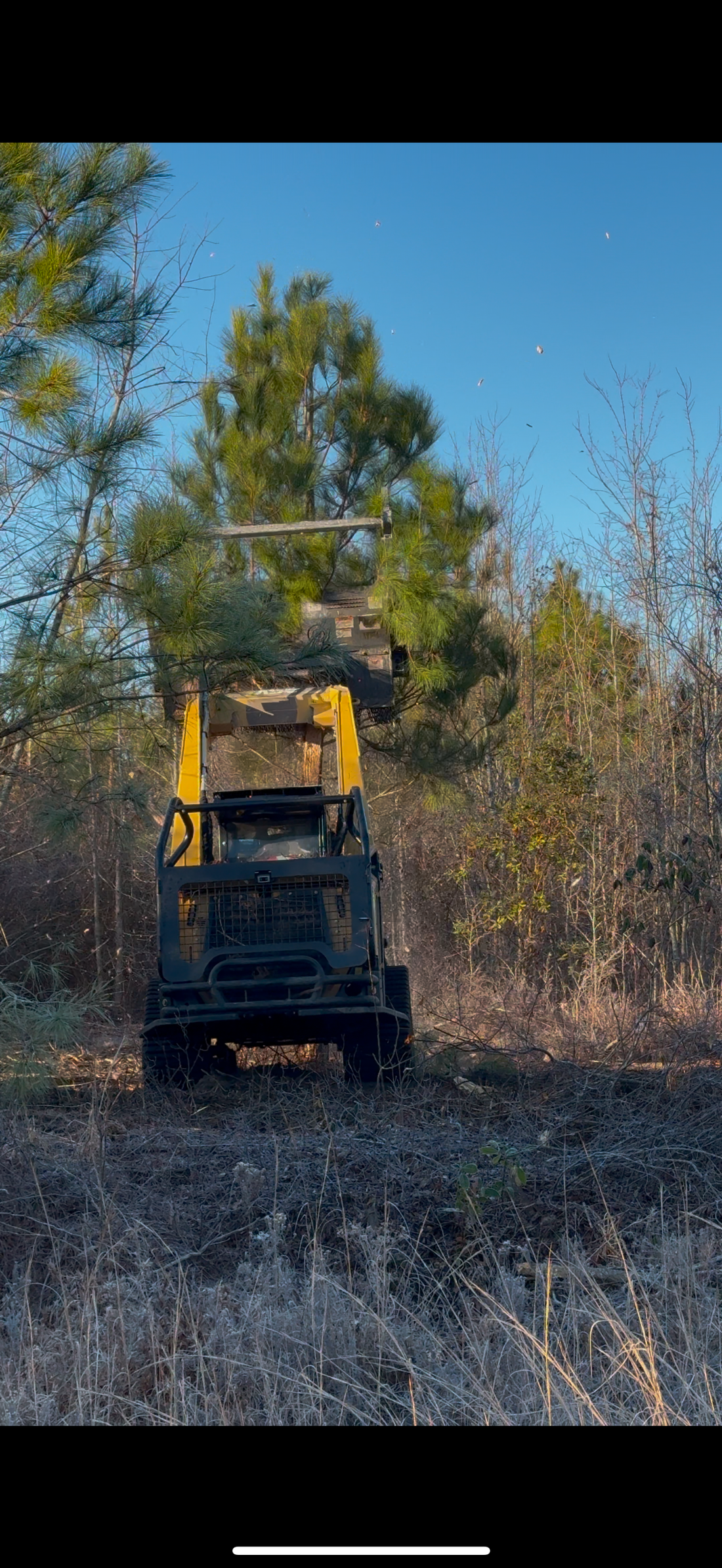 Clearing the Dream: Meet Earl, the Skid Steer Whisperer