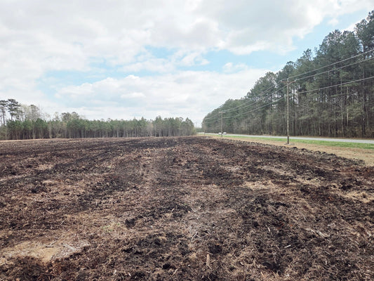 I Think I’m in Love With…The Dirt